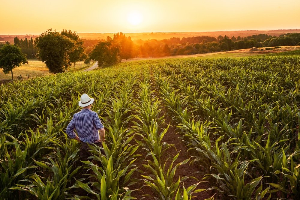 Produtor Rural – Empresário